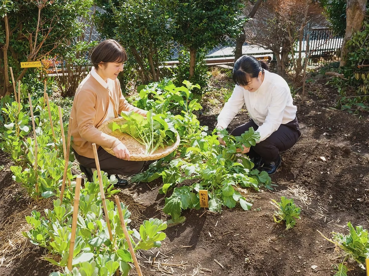 見どころイメージ